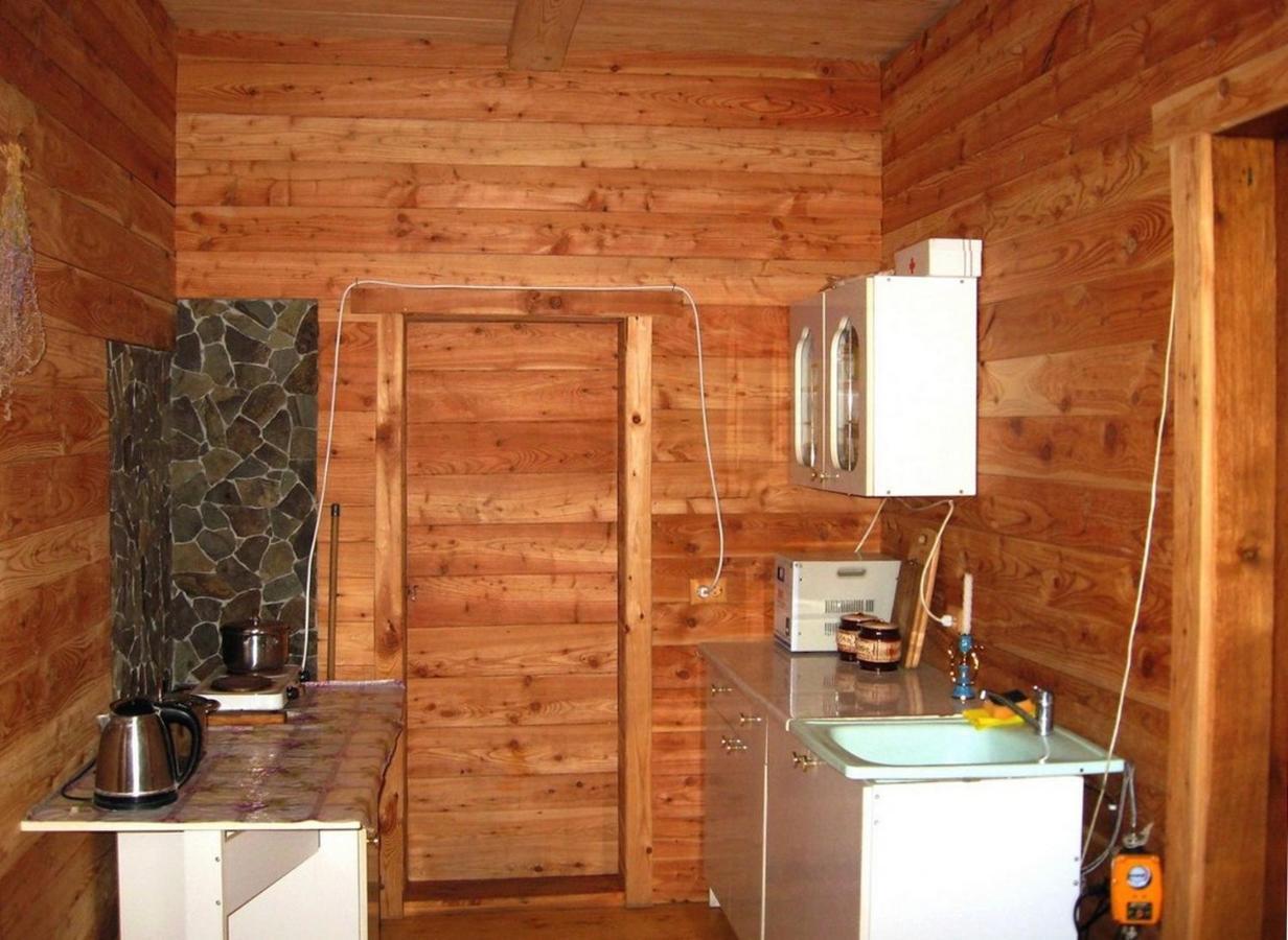 Полонянка Appartement Bukovinka Buitenkant foto